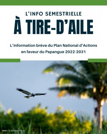 Le nouveau numéro de la newsletter est disponible !